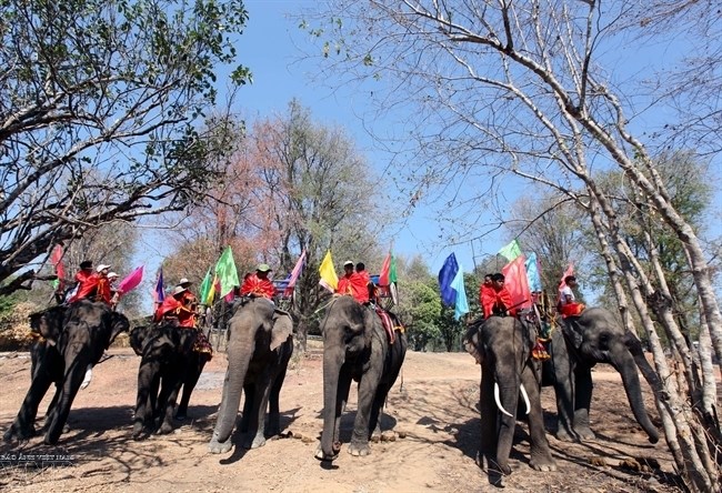 Impressions at the Elephant Racing festival in Buon Don district